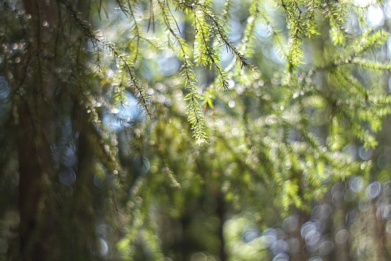 Сабина Ромовая ♥ | Тюмень