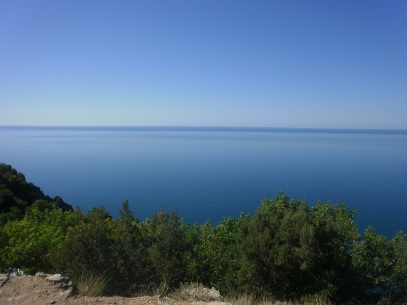 Ирина Прокопенко | Луганск