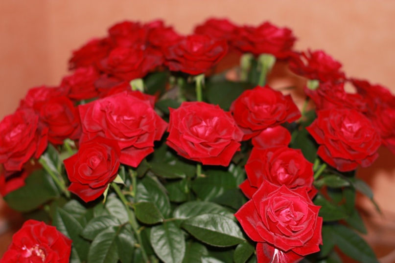 Тамара Васильева | Москва