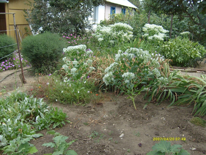 Анатолий Селиванов |