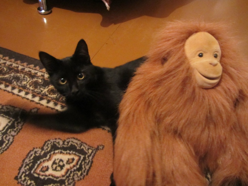 Владимир Сандаков | Свеча