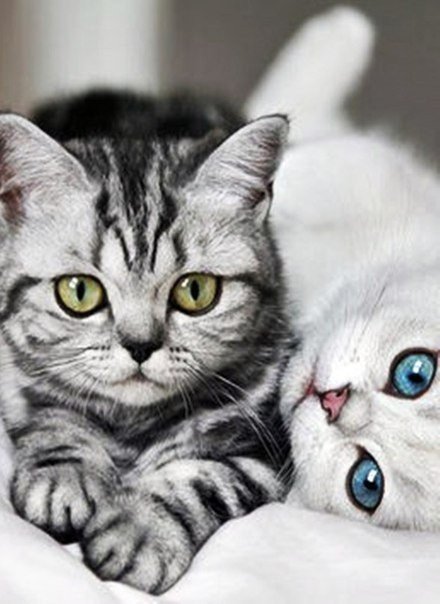 Гульназ Закирова | Альметьевск