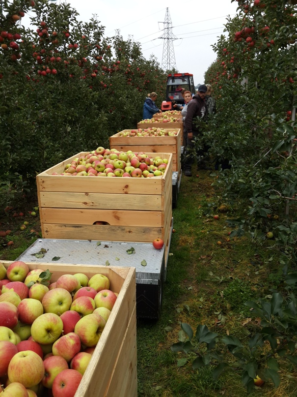 Юрий Николаевич | Житомир