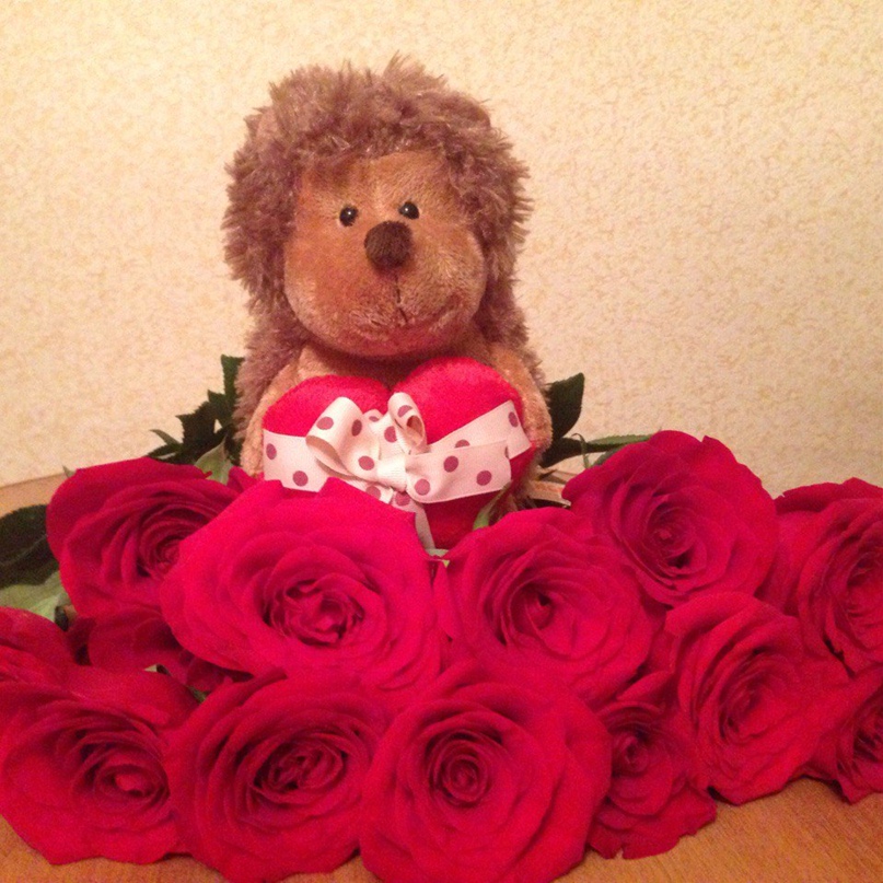 Анна Гузанова | Ярославль