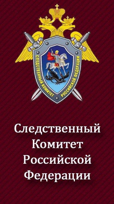 СОВРЕМЕННАЯ ГОСУДАРСТВЕННАЯ ОРГАНИЗАЦИЯ