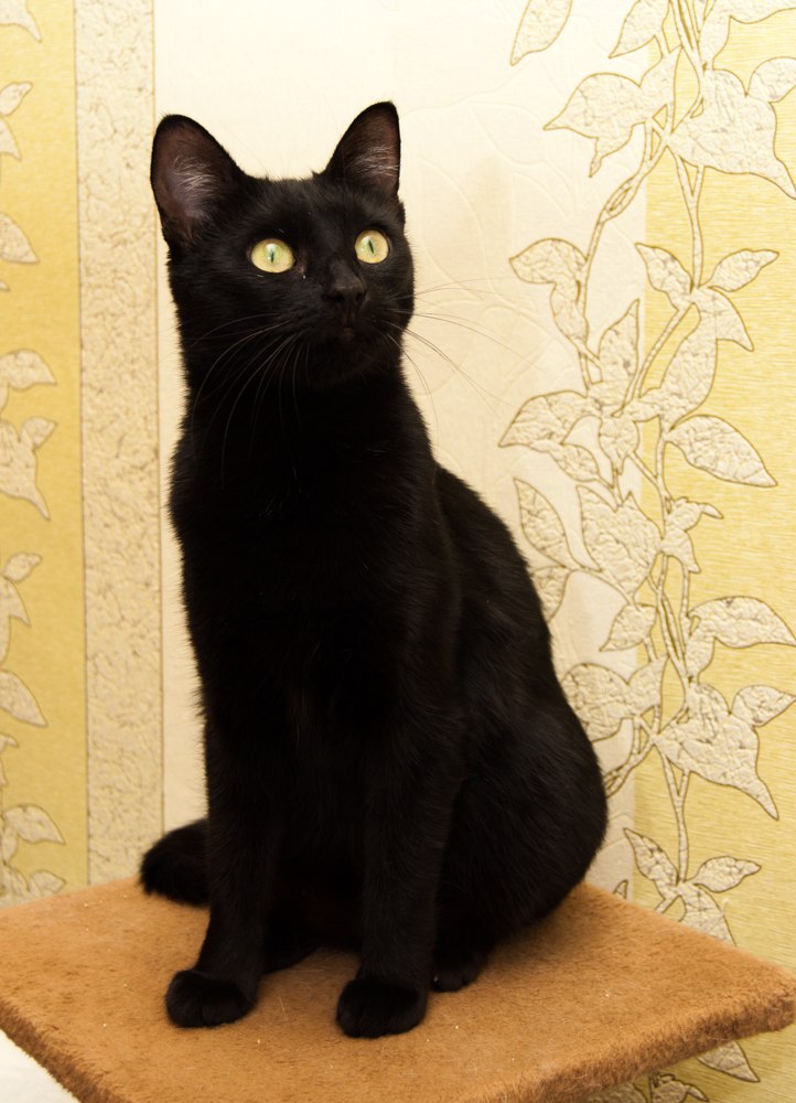 Юлия Колесова | Сыктывкар