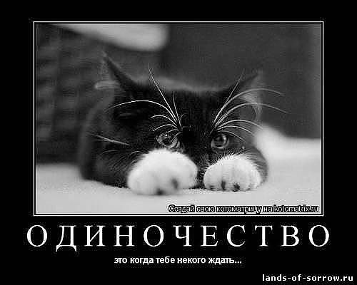 Алексей Тиньков | Мценск