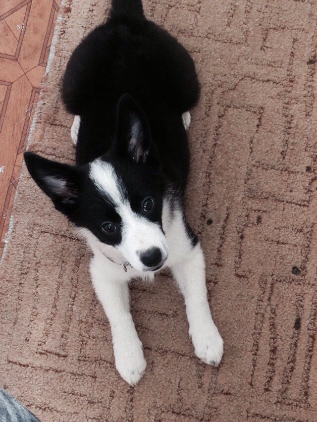 Елена Поленова | Оренбург