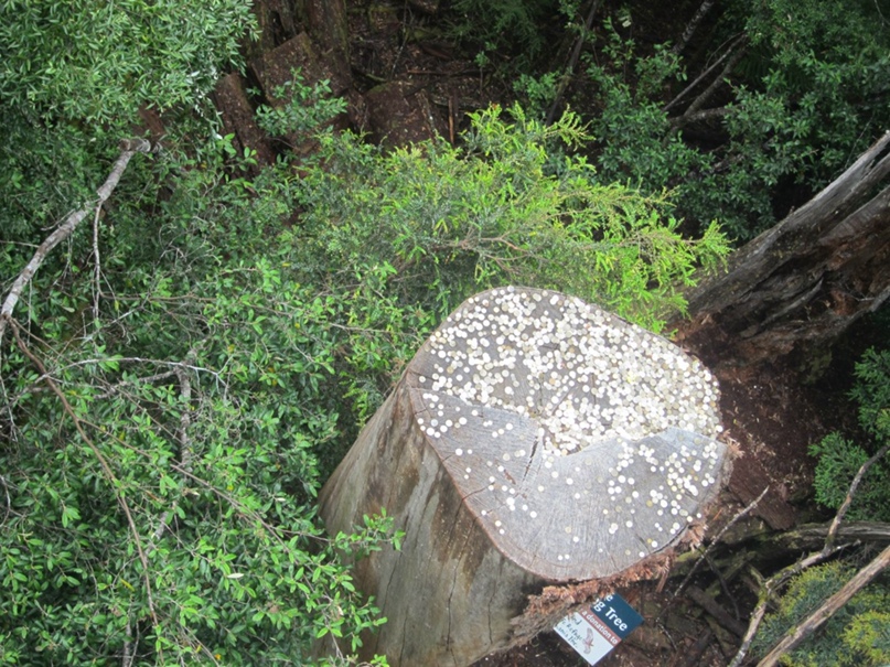 Татьяна Наумова | London