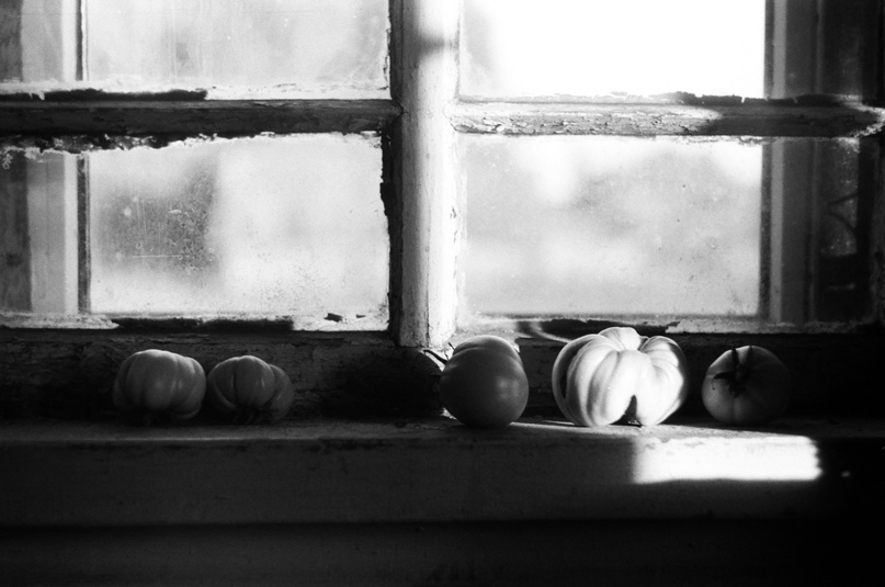 Алёна Горбачева | Санкт-Петербург