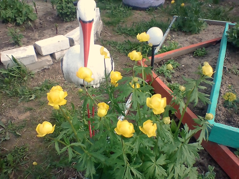 Наташа Ершова |