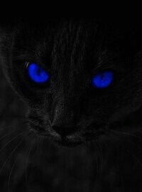 Анастасия Никишина | Елабуга