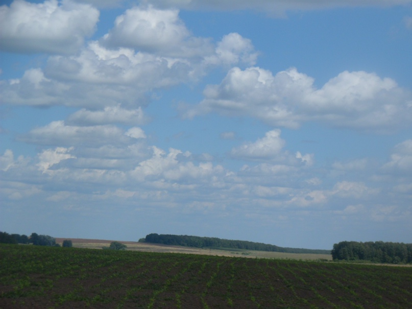 Татьяна Кудряшова Васильевна | Луховицы