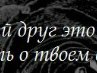 Максим Алехин | Сумы