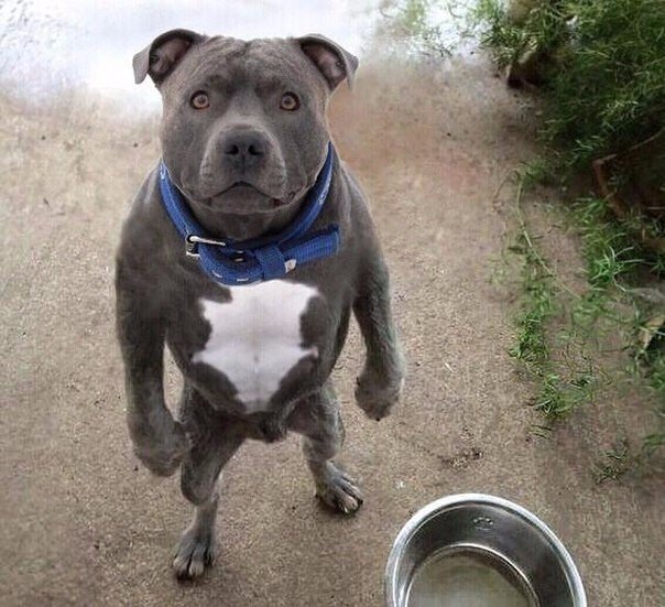 Юрий Доронин ***BUROGOZ*** | Магнитогорск