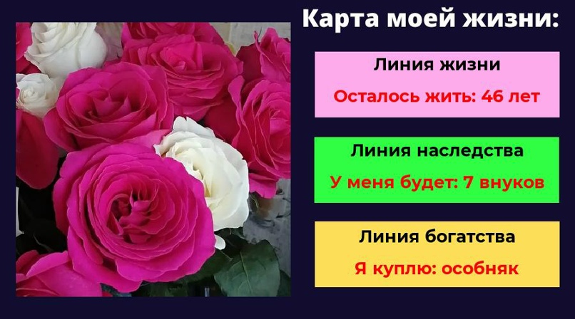 Татьяна Палкина | Архангельск