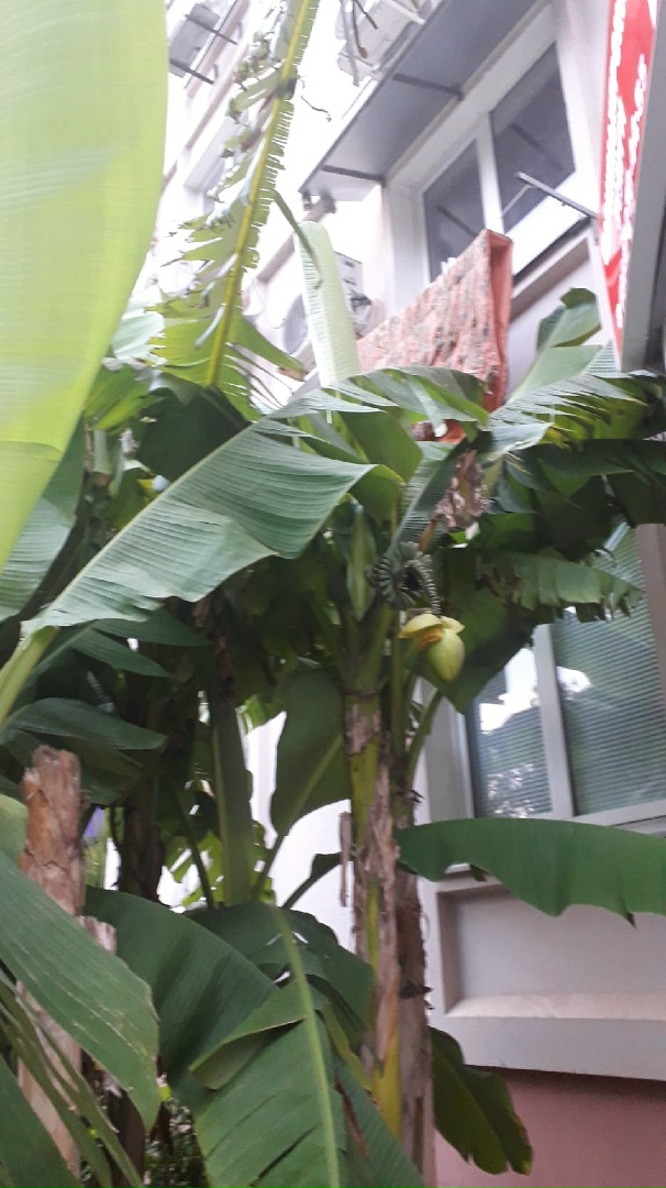 Анна Ананьева | Демянск