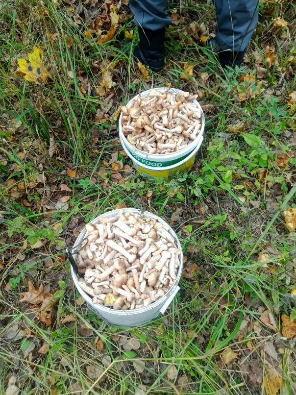 Владимир Косов vovan73 | Новоульяновск