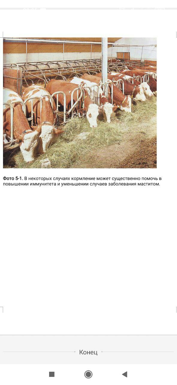 Евгений Набоков El Magnifico | Monaco