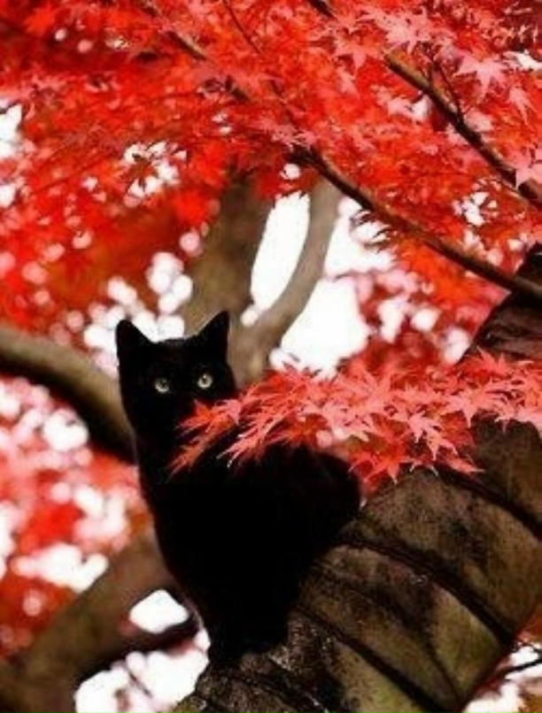 Яна Третьякова |