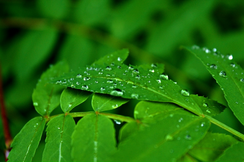 Виктория Щурова | Красноярск