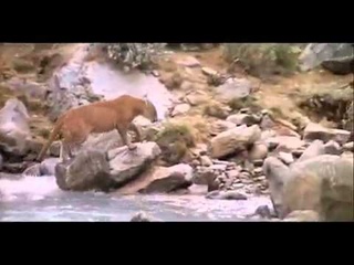 Красивое видео !!!