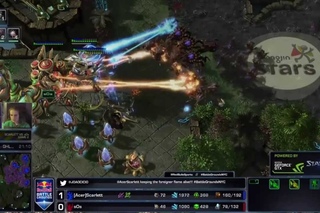 Tribute to Scarlett Sasha Hostyn, Starcraft 2 progamer