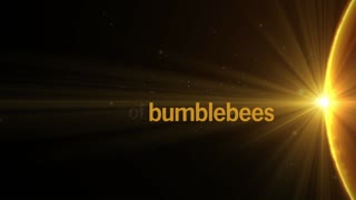Bumblebee