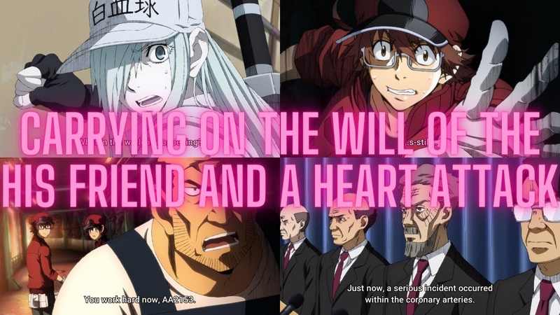 Hataraku Saibou Black TV episode 12