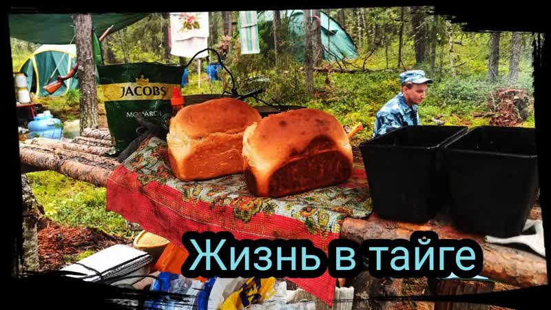 Жизнь в тайге, Новый кластер. Первая точка. Сезон 2020 серия