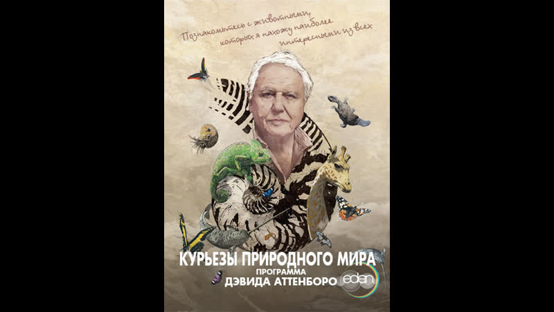 Загадки природы, David Attenboroughs Natural Curiosities Сезон 1 Серия 1 Длина