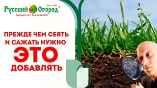 ПОЛЕЗНЫЕ МИКРООРГАНИЗМЫ#ПОЧВА#ГРУНТ#СУБСТРАТ ДОЛЖНЫ БЫТЬ ЖИВЫМИ. #РАСТЕНИЯ ПИТАЮТ ИМЕННО ОНИ/