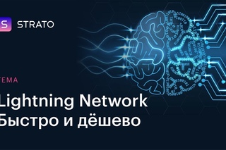 Lightning Network. Atomic swap.  Ускоритель для крипты.