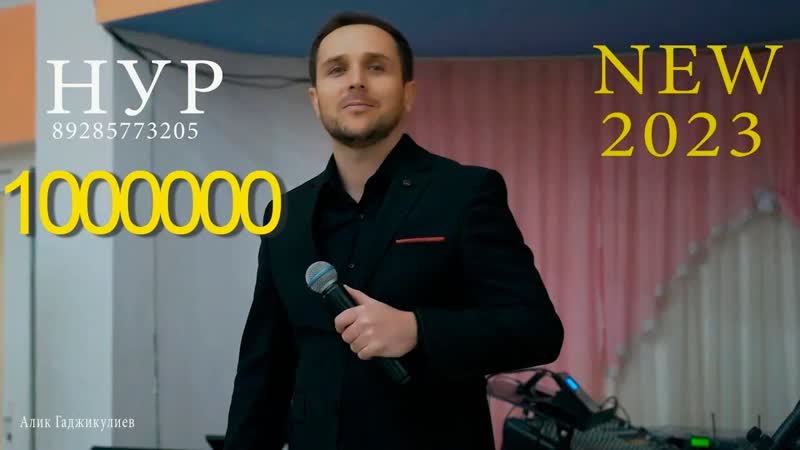 Ви вилер NEW HIT