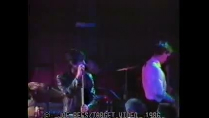 Iggy Pop live n