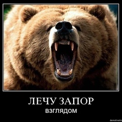 Федор Шершнев - видео и фото