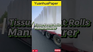 toilet paper parent roll, facial tissue jumbo reel, tissue mohter roll, paper towel jumbo roll