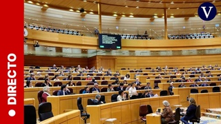 DIRECTO: El Senado vota la creacin de una comisin de investigacin por el caso Koldo