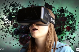 InCell VR