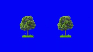 Структуризация сознания. Лекция 4. Г. П. Грабовой. Валентин Сченснович.