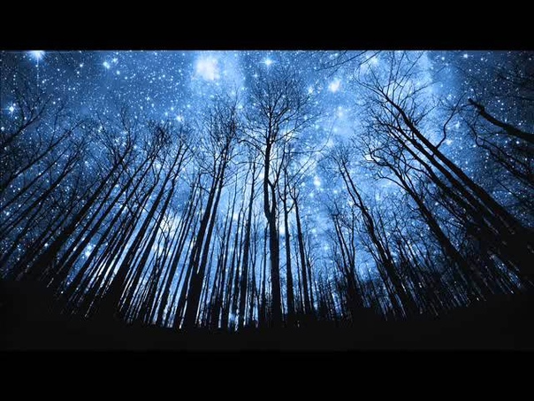Diana Skorobreshchuk Counting Stars ( One Republic