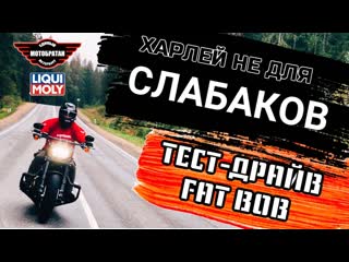 Харлей - не для слабаков. Тест драйв Harley-Davidson FAT BOB.
