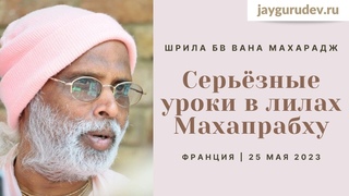 Серьезные уроки в лилах Махапрабху | Франция,  (утро) | Шрила БВ Вана Махарадж