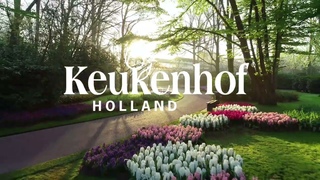 Keukenhof is ready to open! | Keukenhof 2022